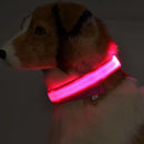Coleiras fluorescentes luminosas para animais, LED de nylon