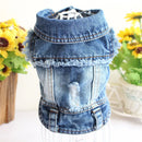 Jaqueta jeans para pet Spring Fashion