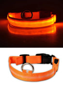 Coleiras fluorescentes luminosas para animais, LED de nylon