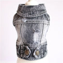 Jaqueta jeans para pet Spring Fashion