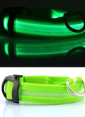 Coleiras fluorescentes luminosas para animais, LED de nylon
