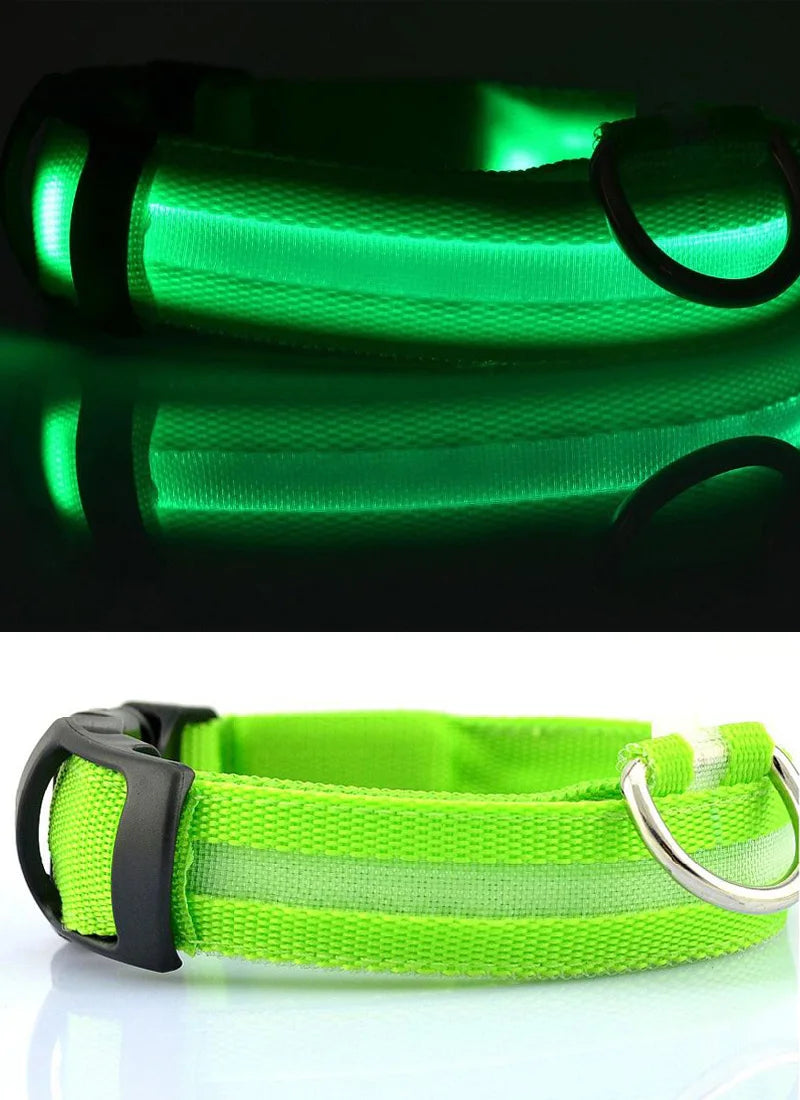 Coleiras fluorescentes luminosas para animais, LED de nylon