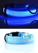 Coleiras fluorescentes luminosas para animais, LED de nylon