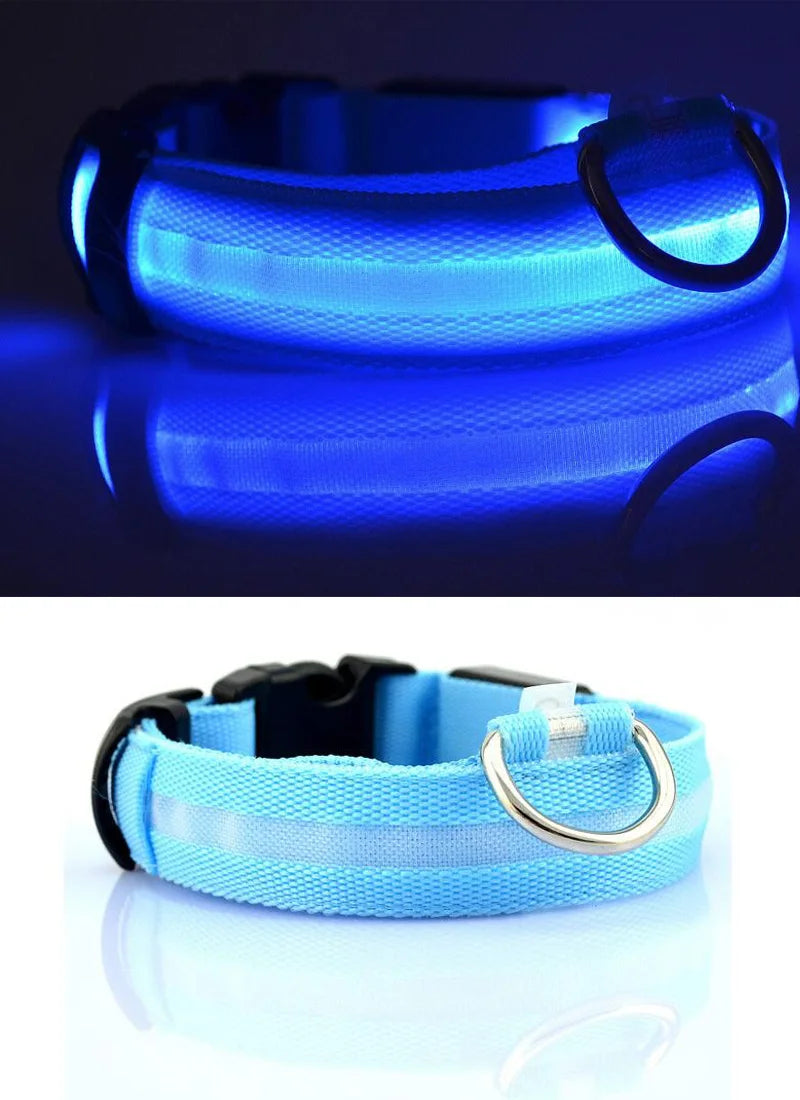 Coleiras fluorescentes luminosas para animais, LED de nylon