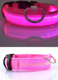 Coleiras fluorescentes luminosas para animais, LED de nylon
