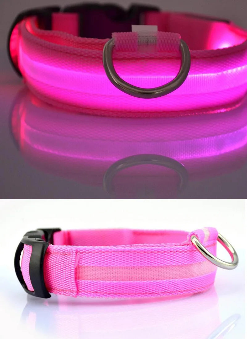 Coleiras fluorescentes luminosas para animais, LED de nylon