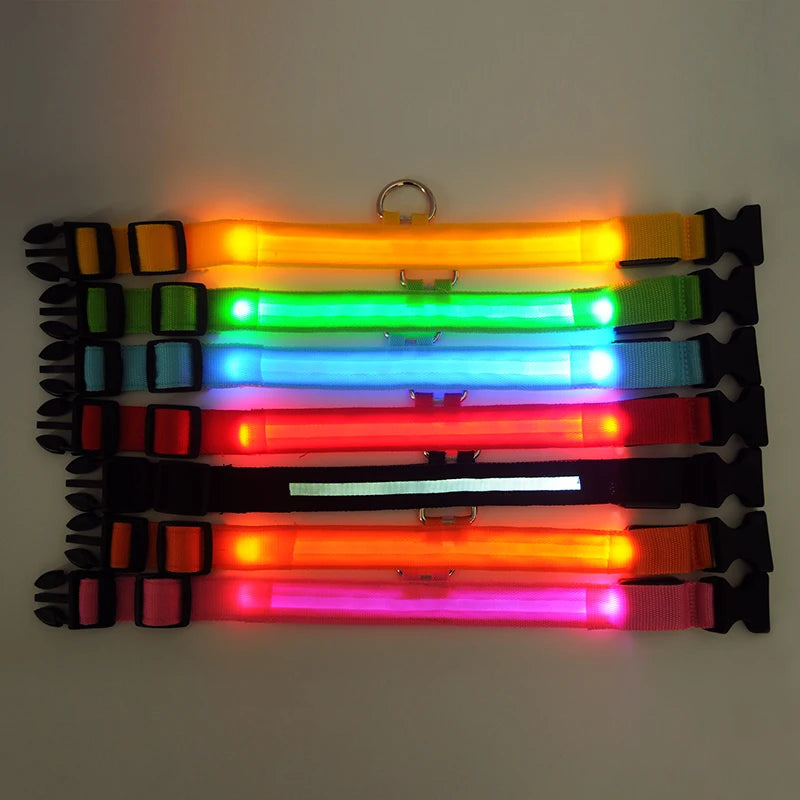 Coleiras fluorescentes luminosas para animais, LED de nylon