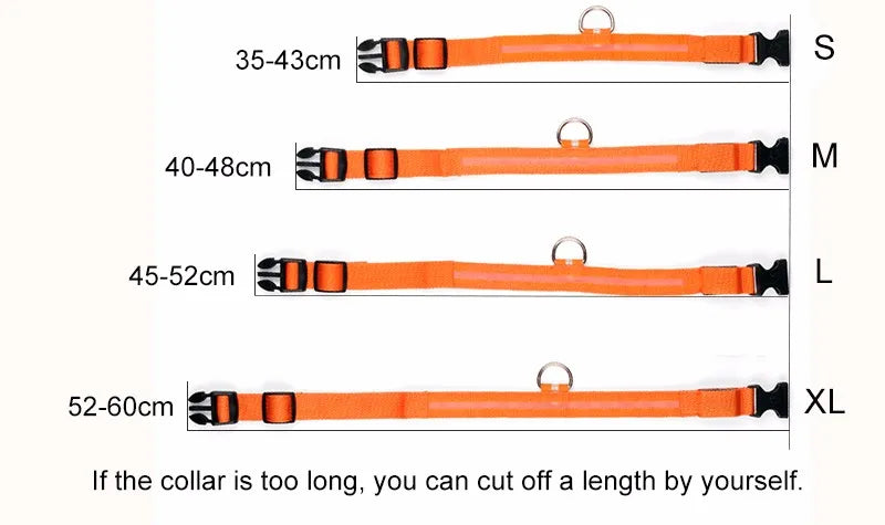 Coleiras fluorescentes luminosas para animais, LED de nylon