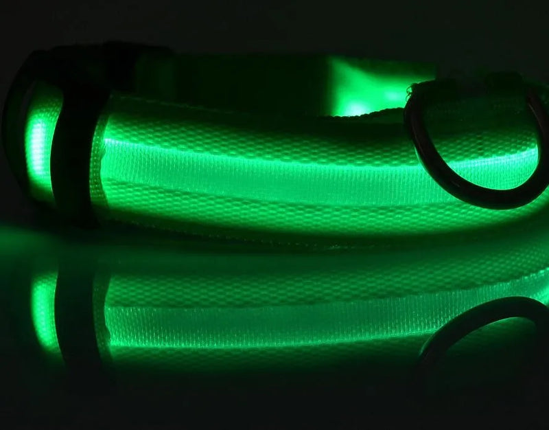 Coleiras fluorescentes luminosas para animais, LED de nylon