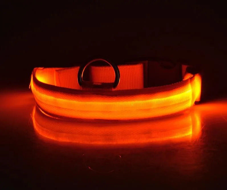Coleiras fluorescentes luminosas para animais, LED de nylon