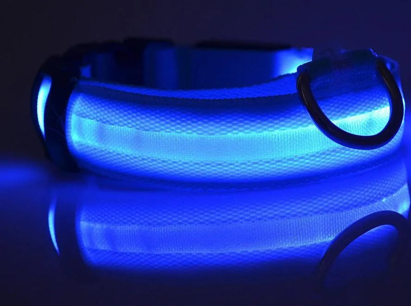 Coleiras fluorescentes luminosas para animais, LED de nylon