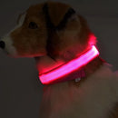 Coleiras fluorescentes luminosas para animais, LED de nylon