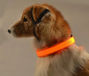 Coleiras fluorescentes luminosas para animais, LED de nylon