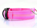 Coleiras fluorescentes luminosas para animais, LED de nylon