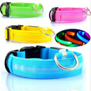 Coleiras fluorescentes luminosas para animais, LED de nylon