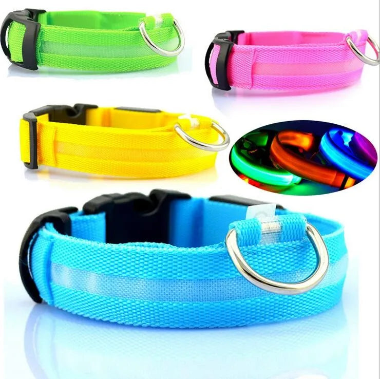 Coleiras fluorescentes luminosas para animais, LED de nylon