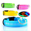 Coleiras fluorescentes luminosas para animais, LED de nylon