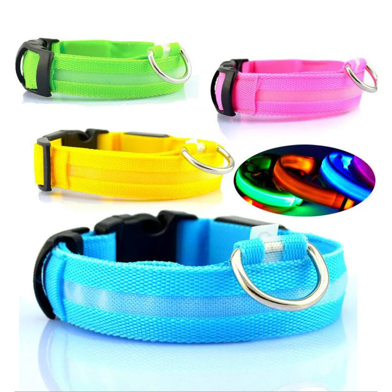 Coleiras fluorescentes luminosas para animais, LED de nylon