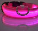 Coleiras fluorescentes luminosas para animais, LED de nylon