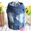 Jaqueta jeans para pet Spring Fashion