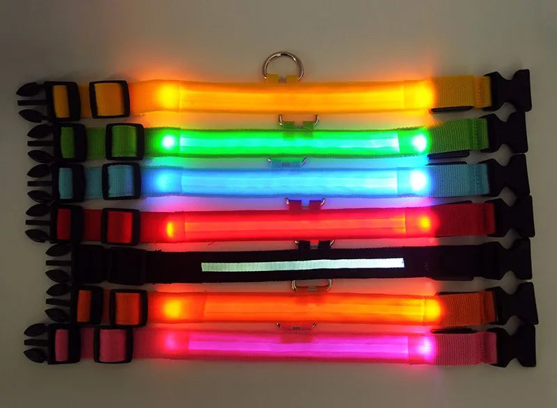 Coleiras fluorescentes luminosas para animais, LED de nylon