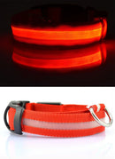 Coleiras fluorescentes luminosas para animais, LED de nylon