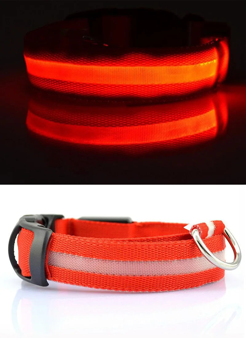 Coleiras fluorescentes luminosas para animais, LED de nylon