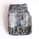 Jaqueta jeans para pet Spring Fashion
