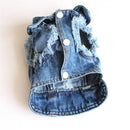 Jaqueta jeans para pet Spring Fashion