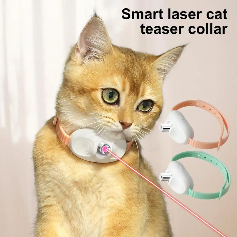 Coleira laser para gatos. Diversão para seu pet