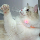 Coleira laser para gatos. Diversão para seu pet