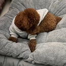 Cama de pelúcia extra-grande/sofá/cama pet