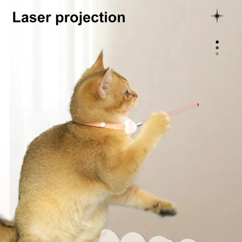 Coleira laser para gatos. Diversão para seu pet
