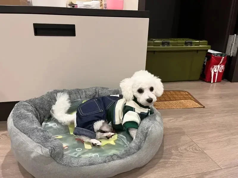 Cama Pet para cães e gatos estilo cesta