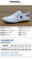 Sapatênis italiano modelo 2025