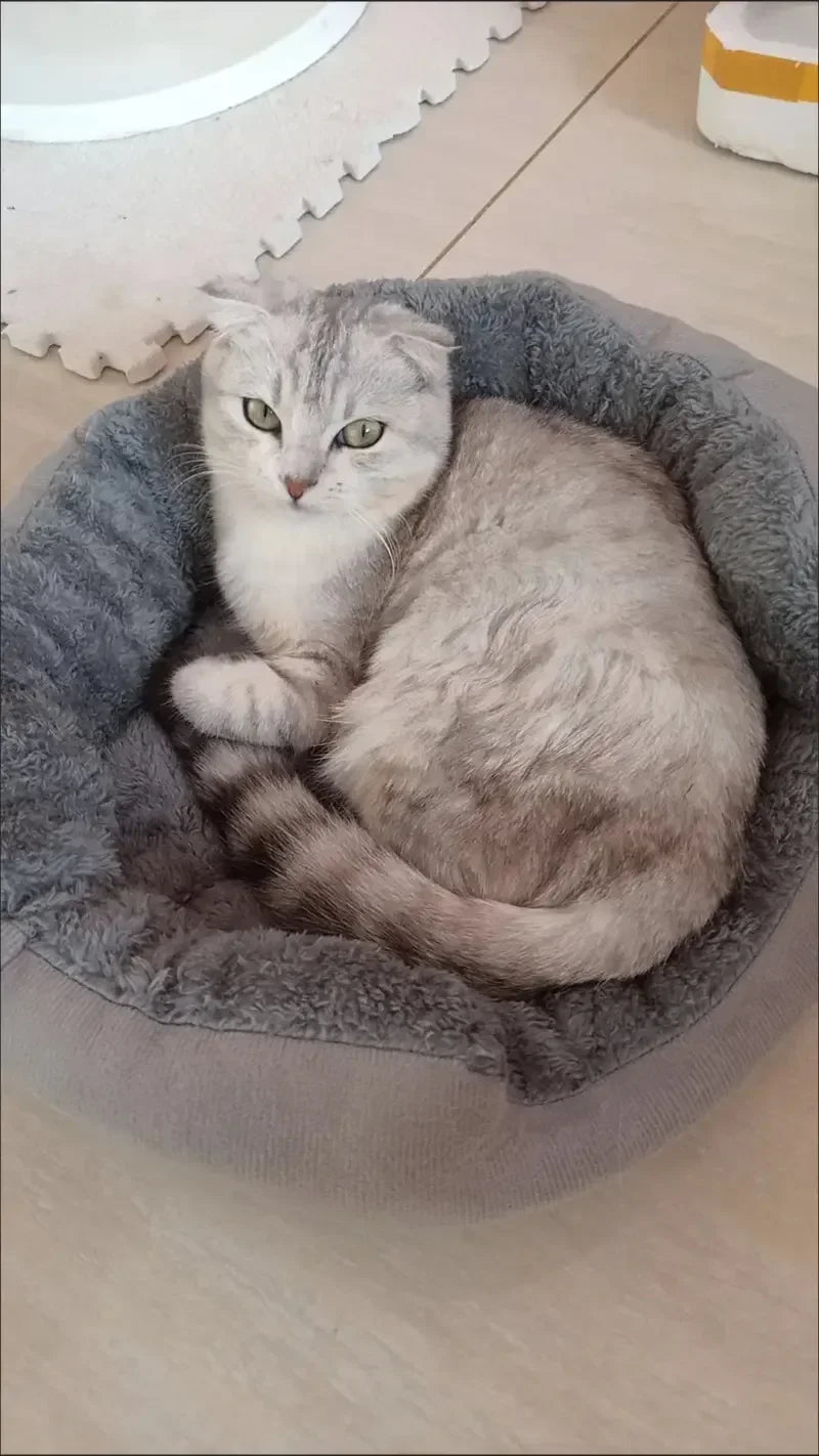 Cama Pet para cães e gatos estilo cesta