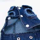 Jaqueta jeans para pet Spring Fashion