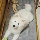 Cama de pelúcia extra-grande/sofá/cama pet