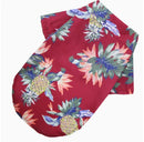 Roupa pet estilo havaiano