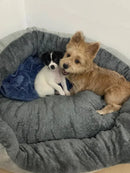 Cama Pet para cães e gatos estilo cesta